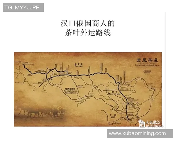 天津足球的崛起与发展历程探讨及其对城市文化的影响